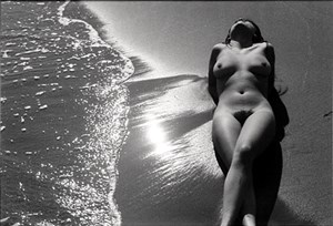 Image description is not available for 1984.001